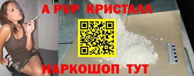 стафф Дубна