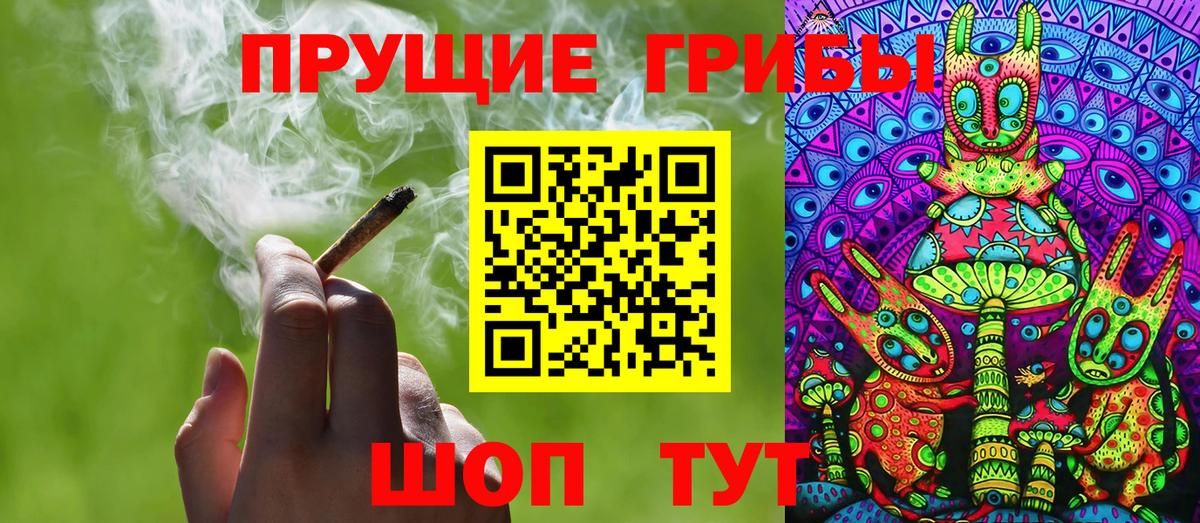 Псилоцибиновые грибы мицелий  Вход с VPN  Муравленко  Псилоцибиновые грибы прущие грибы 