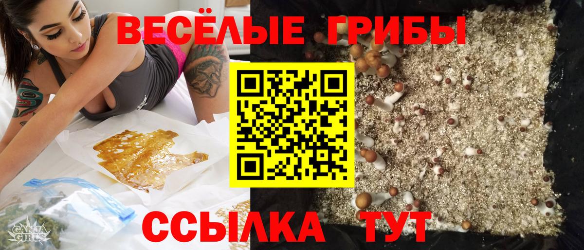 Галлюциногенные грибы мухоморы Муравленко